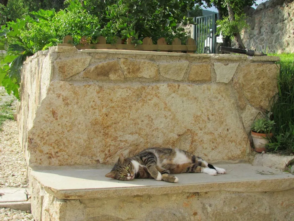Bed & Breakfast I grilli b&b Baone