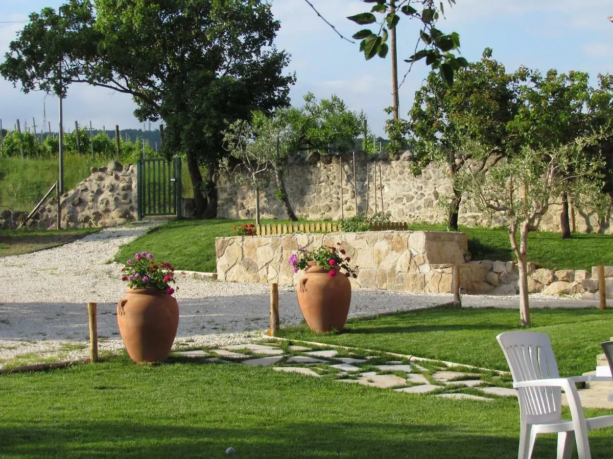Bed & Breakfast I Grilli B&B Baone