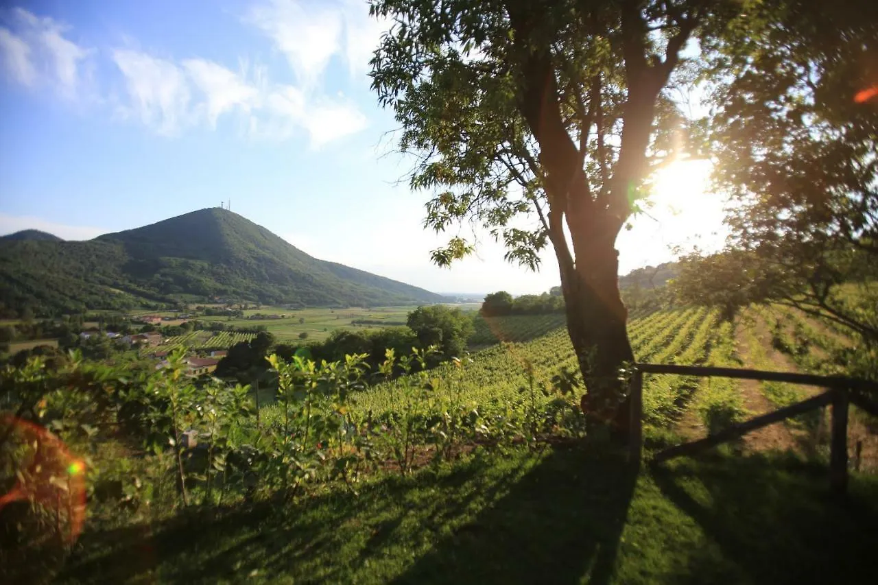 I grilli b&b Baone Bed & Breakfast